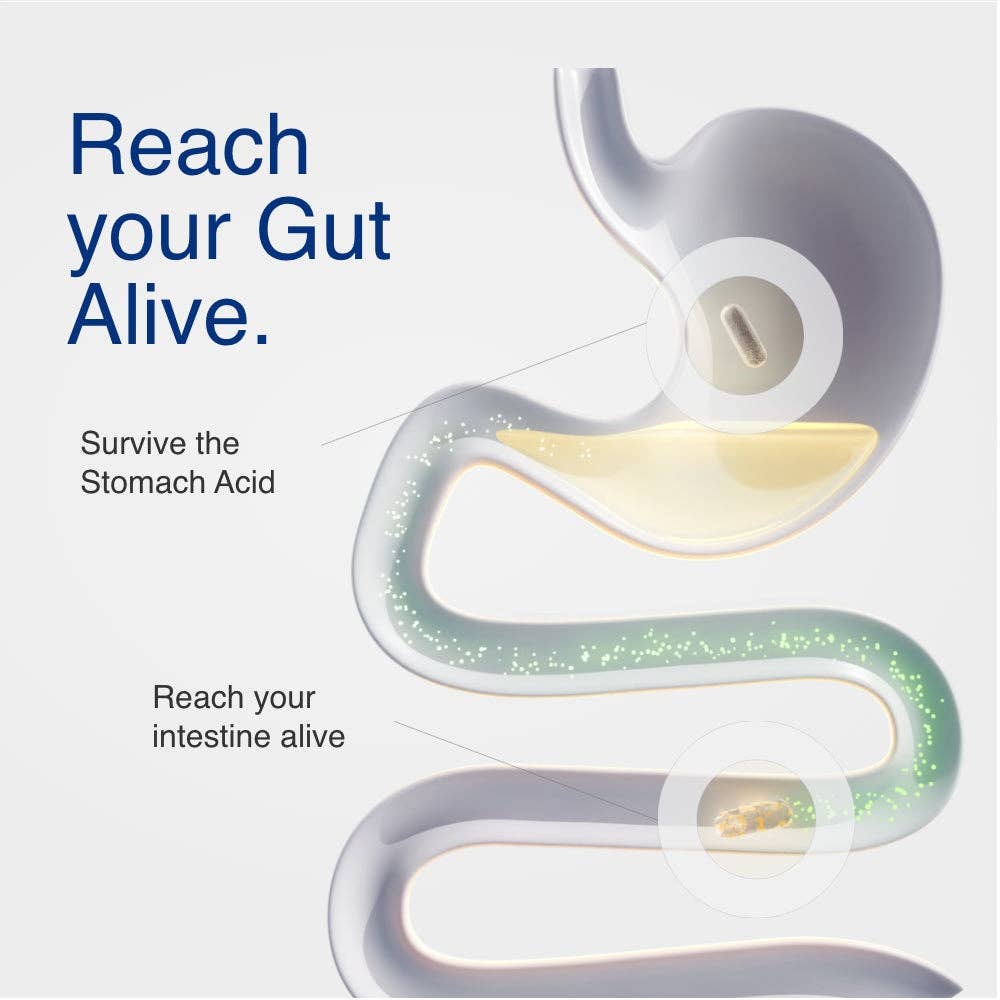 Mycrobiome Complete Probiotic Ultimate Potency